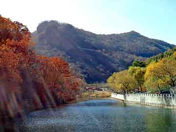 澳门天天免费精准大全，深圳治疗疱疹医院